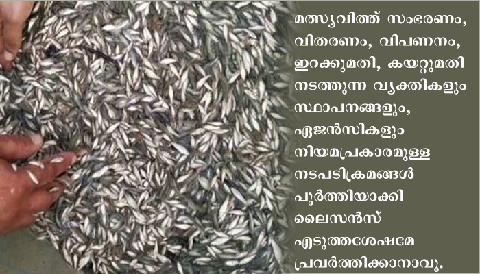 മത്സ്യവിത്ത് ഉല്പാദനകേന്ദ്രങ്ങളും സീഡ് ഫാമുകളും രജിസ്റ്റര്‍ ചെയ്ത് ലൈസന്‍സ് എടുക്കണം: ഫിഷറീസ് മന്ത്രി
