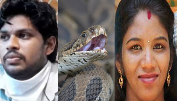 ഉത്തരയെ കടിച്ചത് സൂരജ് കുപ്പിയിലാക്കി കൊണ്ടുവന്ന പാമ്പുതന്നെ; ഡിഎന്‍എ പരിശോധനഫലം ലഭിച്ചു, കേസില്‍ ഈ തെളിവ് അതിനിര്‍ണായകം