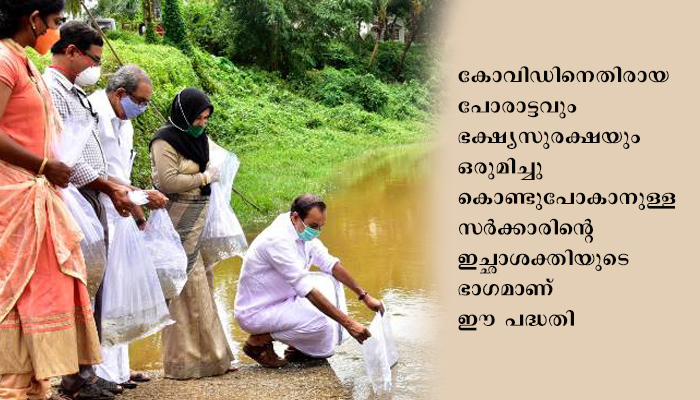മത്സ്യവിത്ത് നിക്ഷേപം: മലപ്പുറം ജില്ലയില്‍ 12.5 ലക്ഷം മത്സ്യകുഞ്ഞുങ്ങളെ നിക്ഷേപിച്ചു