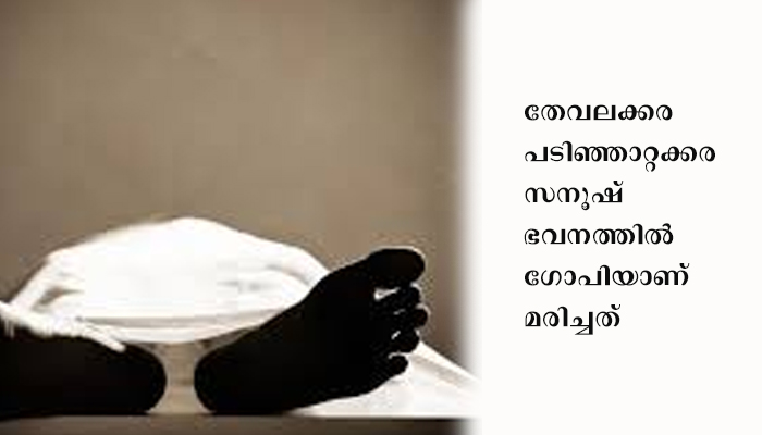 65 വയസുകാരനെ മരിച്ച നിലയില്‍ റോഡില്‍ കണ്ടെത്തി