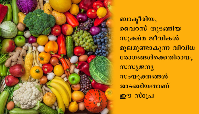 പഴങ്ങളിലും പച്ചക്കറികളിലുമുള്ള സൂക്ഷ്മാണുബാധ തടയുന്നതിന് ഐപിഎഫ്റ്റി, പുതിയ ‘അണുനാശക സ്‌പ്രേ’ വികസിപ്പിച്ചു