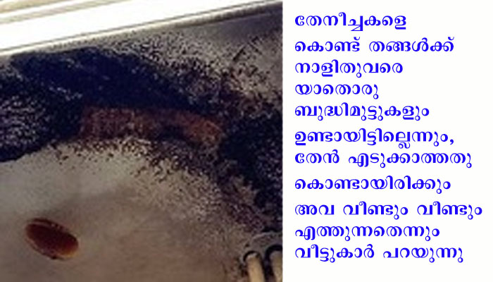 പെരുംതേനീച്ചകള്‍ കൂടൊരുക്കാന്‍  നിരന്തരമായി എത്തുന്നു,  ജാഫര്‍ കാഞ്ഞിരായിലിന്‍റെ  വീട്ടില്‍