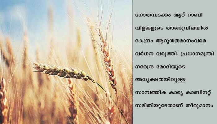 ഗോതമ്പടക്കം ആറ് റാബി വിളകളുടെ താങ്ങുവില വര്‍ദ്ധിപ്പിച്ച് കേന്ദ്രം