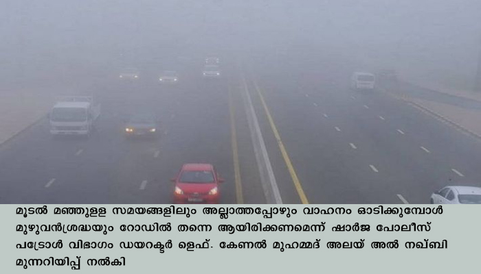 യുഎഇ യില്‍ കനത്ത മൂൂടല്‍ മഞ്ഞ് ,വാഹനങ്ങള്‍ അപകടത്തില്‍ പെട്ടു