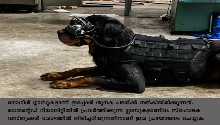 അമേരിക്കന്‍ ശൂനക പടയ്ക്ക് ഇനി ഗോഗിള്‍ ഗ്ലാസും