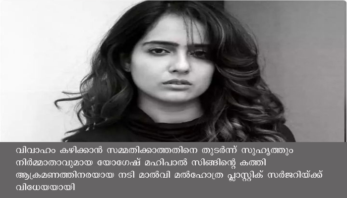 കുത്തേറ്റു ഞാന്‍ താഴേക്ക് വീണുപോയി, മുഖത്തിന് നേരെ കത്തി ഉയര്‍ന്നപ്പോള്‍ കൈ കൊണ്ട് തടഞ്ഞു: പ്ലാസ്റ്റിക് സര്‍ജറിയ്ക്ക് ശേഷം അനുഭവം പങ്ക് വച്ച് നടി മാല്‍വി മല്‍ഹോത്ര
