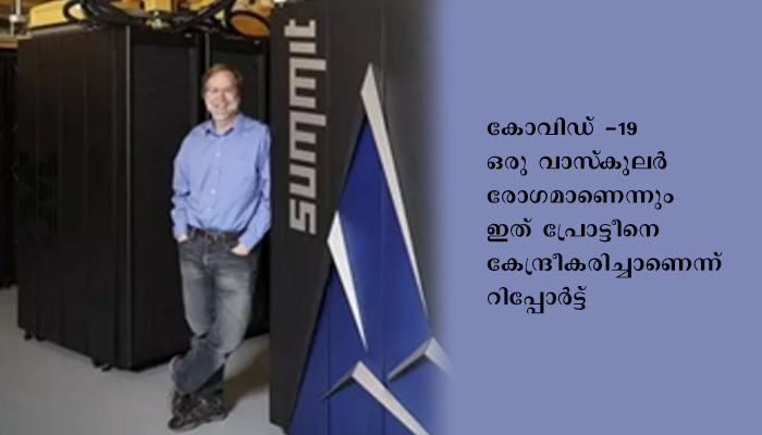കൊവിഡ്; വാസ്‌കുലാര്‍ രോഗമാണെന്ന് അവകാശപ്പെട്ട് ഗവേഷക സംഘം