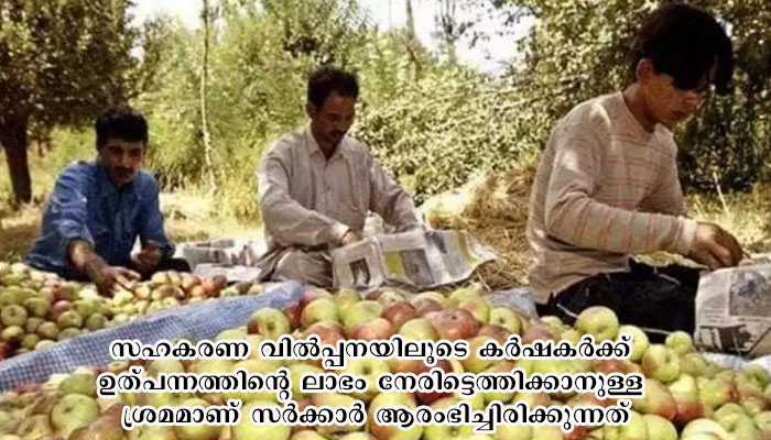 ജമ്മു കശ്മീര്‍ കര്‍ഷകരില്‍ നിന്ന് 12 ലക്ഷം ടണ്‍ ആപ്പിള്‍ വാങ്ങാന്‍ സര്‍ക്കാര്‍