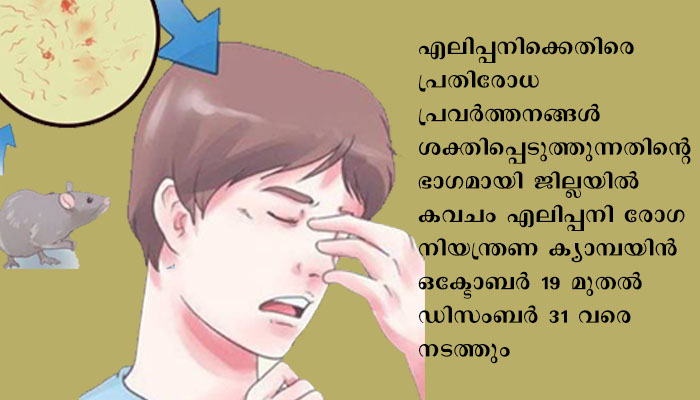 ഇടുക്കി ജില്ലയില്‍ എലിപ്പനി നിയന്ത്രണ ക്യാമ്പയിന്‍ ഒക്ടോബര്‍ 19 മുതല്‍