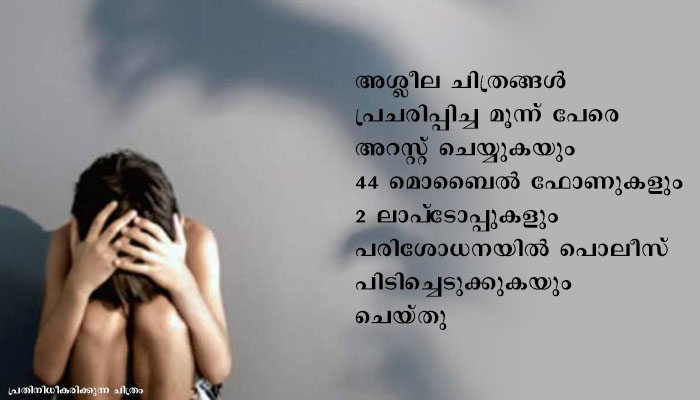 മലപ്പുറം കുട്ടികളുടെ അശ്ലീല ചിത്ര കൈമാറ്റം: ജില്ലയില്‍ 45 കേസുകള്‍ രജിസ്റ്റര്‍ ചെയ്തു