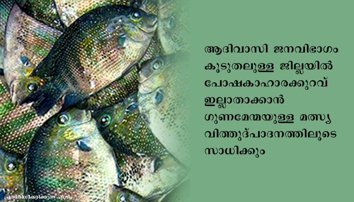 വയനാട് തദ്ദേശീയ മത്സ്യ ഉത്പാദനം വര്‍ധിപ്പിക്കും; മന്ത്രി ജെ. മേഴ്‌സിക്കുട്ടിയമ്മ