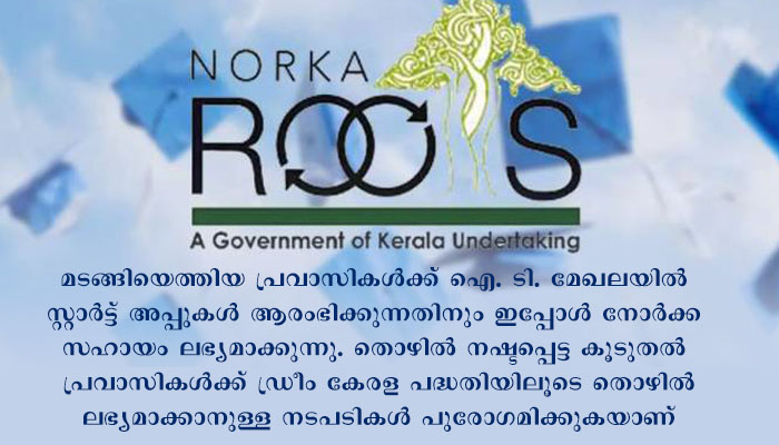 പുതിയ സംരംഭങ്ങളോട് താത്പര്യംകാട്ടി കോവിഡില്‍ മടങ്ങിയെത്തിയ പ്രവാസികള്‍