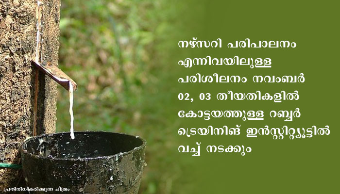 റബ്ബര്‍ നഴ്‌സറി പരിപാലനത്തില്‍ പരിശീലനം