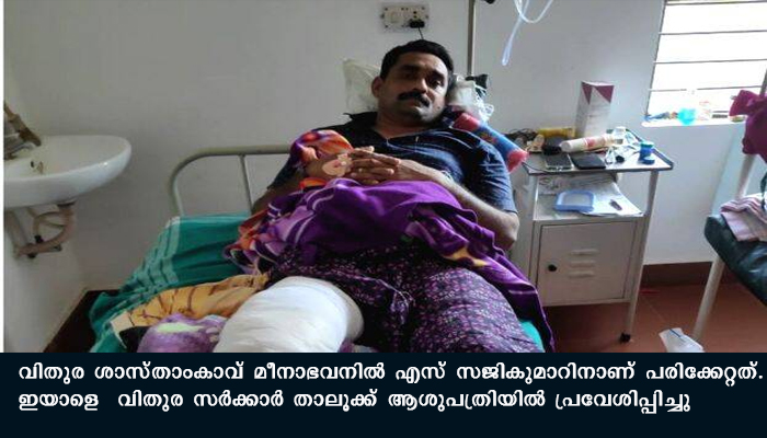 കാട്ടുപന്നിയുടെ ആക്രമണത്തില്‍  ബൈക്ക് യാത്രികന് പരിക്കേറ്റു
