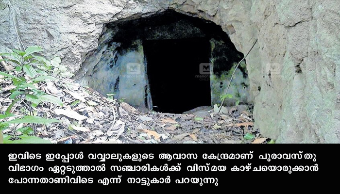 സിമന്റ്  ഗോഡൗണായി ഉപയോഗിച്ചിരുന്ന തോട്ടാപ്പുര പ്രദേശം അവഗണനയില്‍