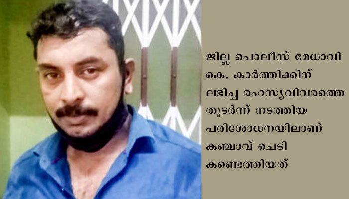 വീട്ടമുറ്റത്ത് കഞ്ചാവ്  വളര്‍ത്തിയ യുവാവ് അറസ്​റ്റില്‍