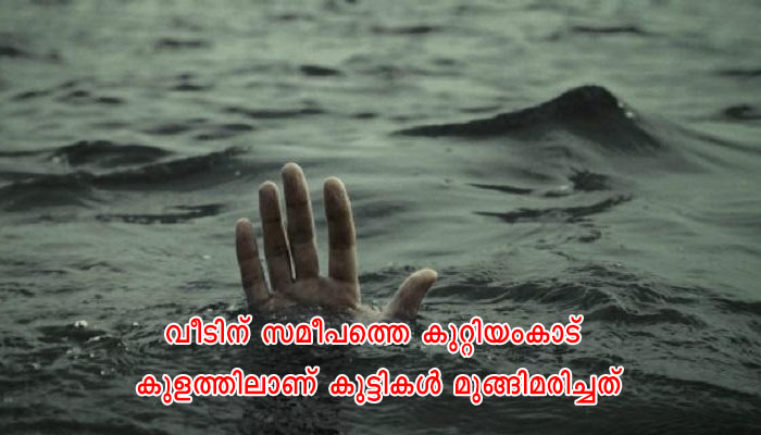 പാലക്കാട് സഹോദരങ്ങളായ മൂന്ന് കുട്ടികള്‍ കുളത്തില്‍ മുങ്ങിമരിച്ചു