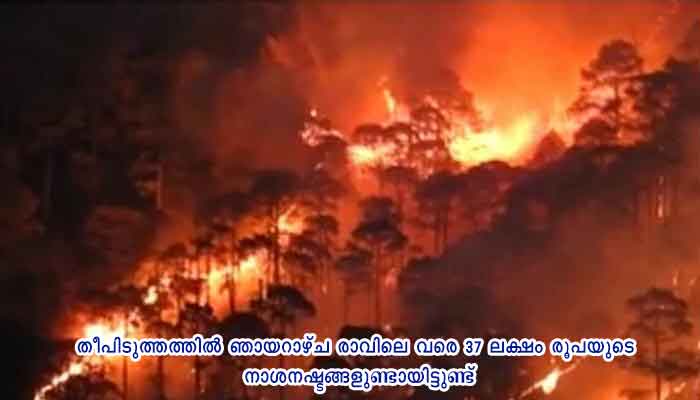 ഉത്തരാഖണ്ഡിൽ കാട്ടു തീ പടരുന്നു, 24 മണിക്കൂറിനകം 4 മരണം