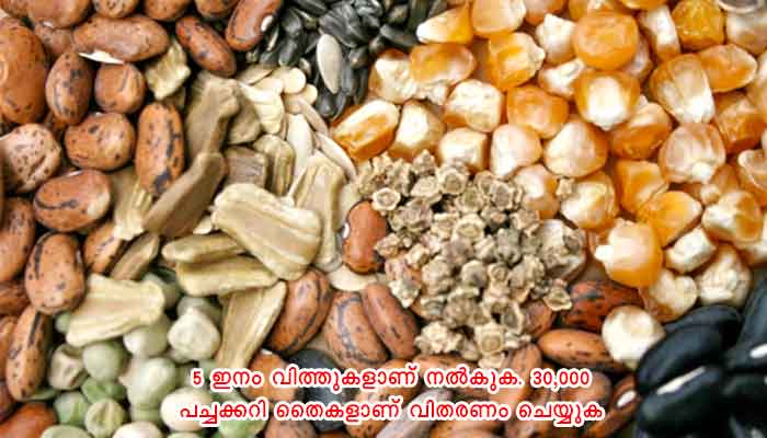 തൃശ്ശൂർ: ഓണത്തിന് ഒരുമുറം പച്ചക്കറി: പദ്ധതിയുമായി ആർത്താറ്റ് കൃഷിഭവൻ