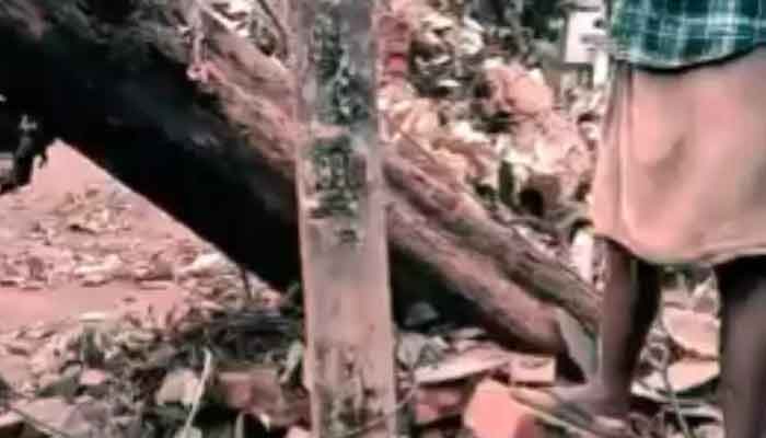 കൊല്ലം: പ്രകൃതിക്ഷോഭം-നഷ്ടം 20 ലക്ഷം