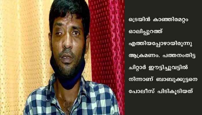 ട്രെയിനില്‍വച്ച് യുവതിയെ ആക്രമിച്ച് സ്വര്‍ണം കവര്‍ന്ന പ്രതി പിടിയില്‍