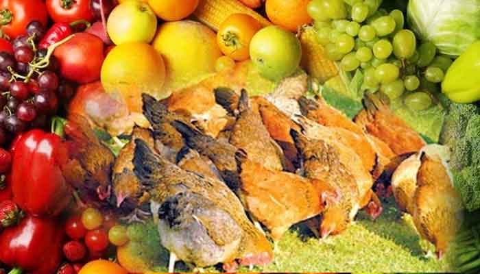 പത്തനംതിട്ട: കൃഷി വിജ്ഞാന കേന്ദ്രത്തിന്റെ ഓണ്‍ലൈന്‍ പരിശീലനങ്ങള്‍ 8 മുതല്‍