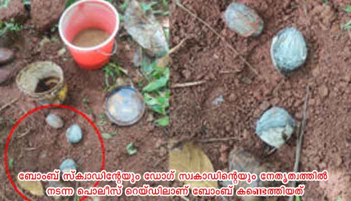 കണ്ണൂരിൽ നിന്ന് നാടൻ ബോംബ് പിടികൂടി
