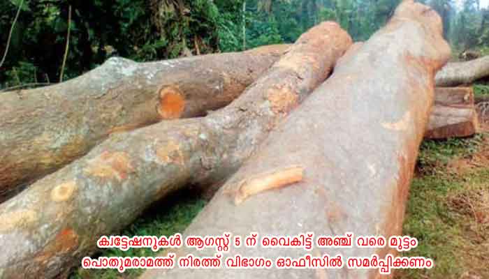 ഇടുക്കി: മരങ്ങള്‍ ലേലം ചെയ്യും