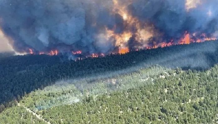 വെന്തുരുകി കാനഡ, ഉഷ്ണതരംഗത്തിന് പുറമേ വന്‍ തീപിടുത്തവും