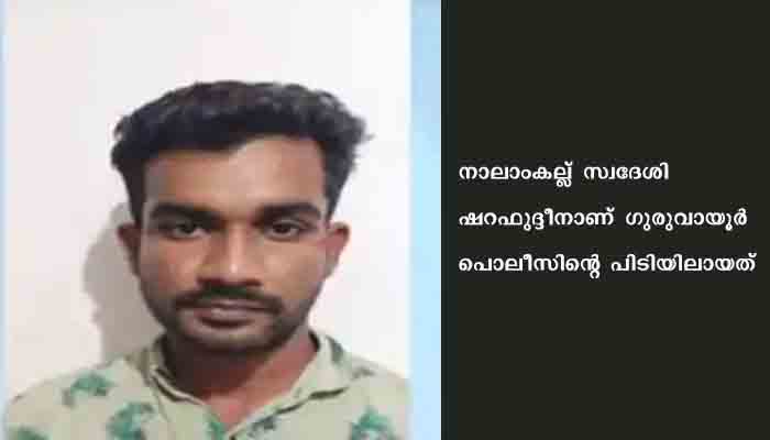 ഇതരസംസ്ഥാനങ്ങളില്‍ നിന്നും മയക്കു മരുന്നെത്തിച്ച് വില്‍പ്പന നടത്തുന്നയാള്‍ പോലീസ് പിടിയില്‍