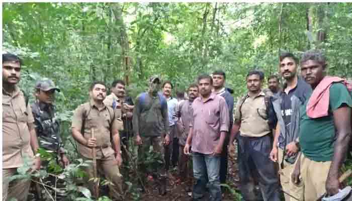 വനത്തില്‍ കുടുങ്ങിയ പോലീസ്‌ ഉദ്യോഗസ്ഥരെ തിരികെ എത്തിച്ചു.പോലീസുകാര്‍ അനുമതിയില്ലാതെ വനത്തില്‍ കയറിയതില്‍ വനം വകുപ്പിന്‌ അതൃപ്‌തി