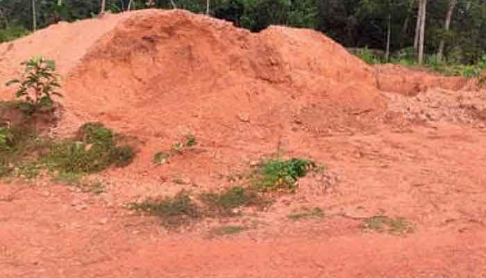 പത്തനംതിട്ട: കരമണ്ണ് ലേലം 20 ന്
