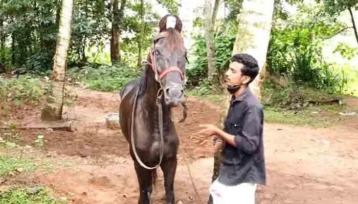 കുതിരയുടെ കണ്ണ്‌ അടിച്ചുതകര്‍ത്തു: പോലീസുകാർക്കെതിരെ നടപടി സ്വീകരിക്കണമെന്ന്‌ അന്വേഷണ റിപ്പോര്‍ട്ട്‌