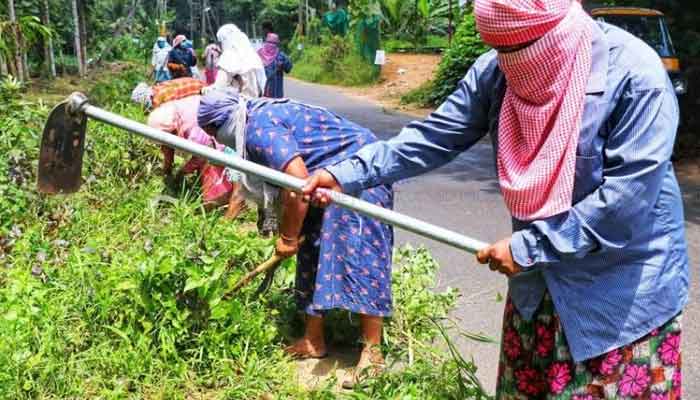 എറണാകുളം: തൊഴിലുറപ്പ് പദ്ധതിയിൽ ജില്ലയിൽ നൽകിയത് 29,89,105 തൊഴിൽ ദിനങ്ങൾ