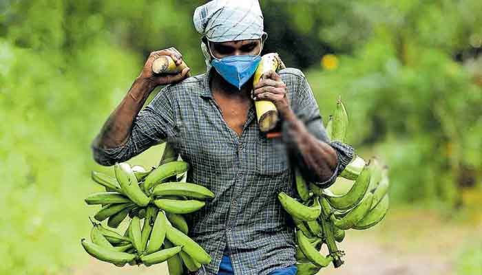 കർഷക കടാശ്വാസ കമ്മിഷൻ സിറ്റിങ്: അപേക്ഷകർ ബാങ്കിൽ ഹാജരാകേണ്ട