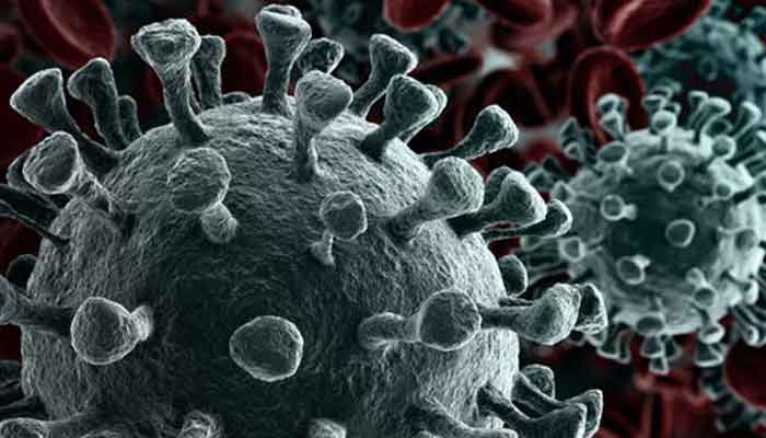 എറണാകുളം: കോവിഡ്: എറണാകുളം ജില്ലയില്‍ 16 ഡൊമിസിലിയറി കെയര്‍  സെന്ററുകള്‍ ആരംഭിക്കും