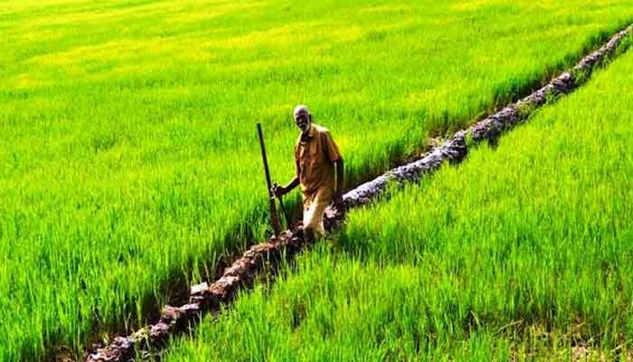 കർഷക കടാശ്വാസ കമ്മീഷൻ സിറ്റിങ് 25നും 26നും തിരുവനന്തപുരത്ത്