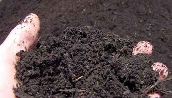 കോഴിക്കോട്: ജൈവവളം വിതരണം ചെയ്തു