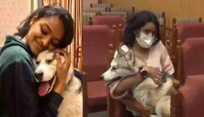 വളര്‍ത്തുനായയുമായെത്തിയ ആര്യ വെള്ളിയാഴ്ച എയർ ഇന്ത്യ വിമാനത്തിൽ നാട്ടിലേക്ക്