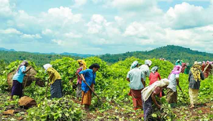 കോഴിക്കോട്: തൊഴിലുറപ്പു പദ്ധതിയിൽ തിരുവള്ളൂരിന് സമാനതകളില്ലാത്ത നേട്ടം