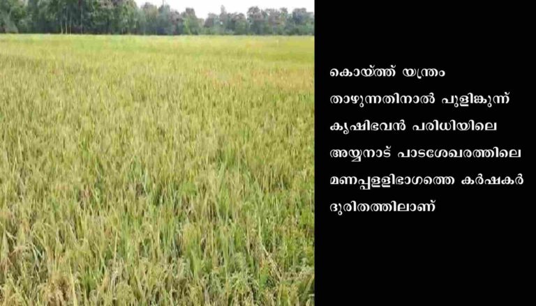 കൊയ്‌ത്ത്‌ യന്ത്രം താഴുന്നു : കര്‍ഷകര്‍ ദുരിതത്തില്‍