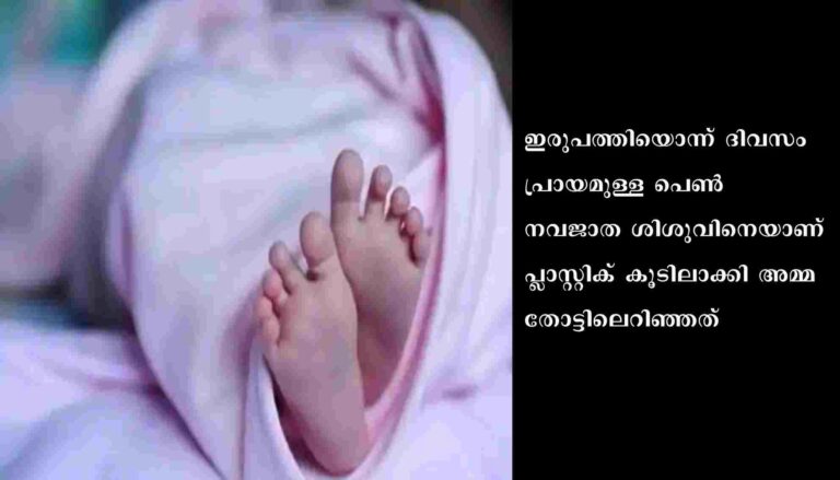 ഇരുപത്തിയൊന്ന് ദിവസം പ്രായമുള്ള പെൺ കുഞ്ഞിനെ തോട്ടിലെറിഞ്ഞ സംഭവത്തിൽ അമ്മക്കെതിരെ കേസെടുത്തു