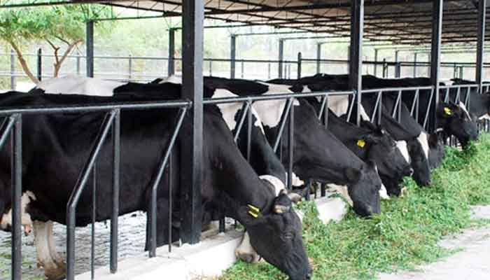 ക്ഷീര കര്‍ഷകര്‍ക്ക് ട്രെയിനിംഗ്