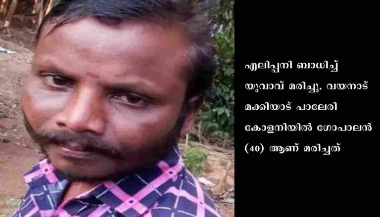 വയനാട്ടിൽ എലിപ്പനി ബാധിച്ചുളള മരണം റിപ്പോർട്ട് ചെയ്തു