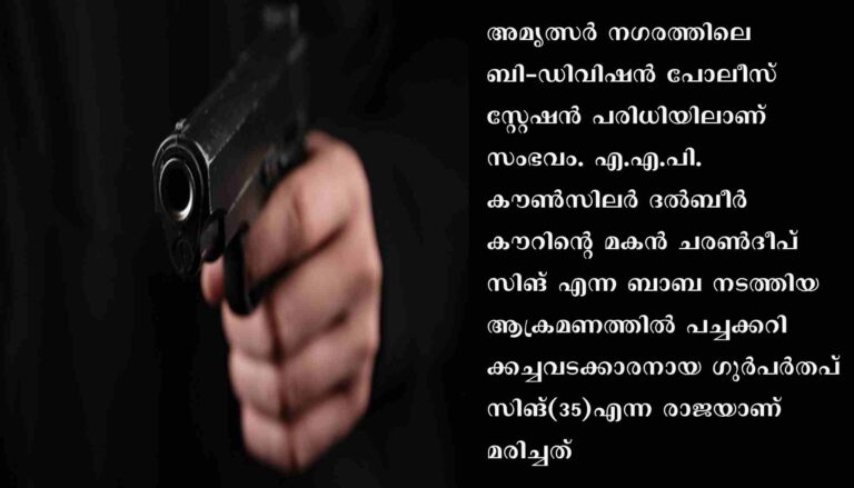 എ.എ.പി. നേതാവിന്റെ മകന്റെ വെടിയേറ്റ് യുവാവ് മരിച്ചു