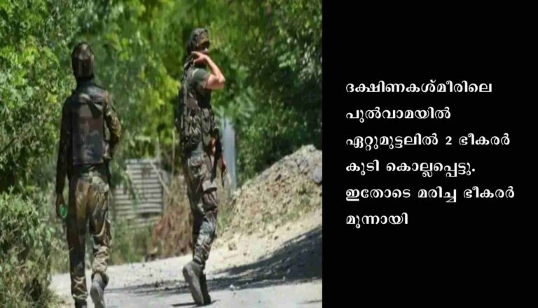 പുല്‍വാമയില്‍ ഏറ്റുമുട്ടലില്‍ രണ്ടു ഭീകരര്‍ കൂടി കൊല്ലപ്പെട്ടു