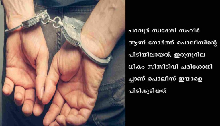 പെട്രോൾ പമ്പ് ജീവനക്കാരനെ ഭീഷണിപ്പെടുത്തി പണംതട്ടിയ പ്രതി പിടിയിലായി