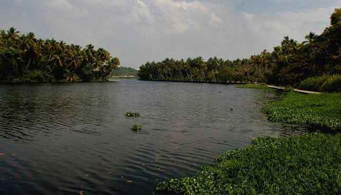 ആക്കുളം കായലിന്റെ പുനരുജ്ജീവനത്തിന് ആദ്യഘട്ടമായി 96 കോടി അനുവദിച്ചു: മന്ത്രി പി.എ.മുഹമ്മദ് റിയാസ്