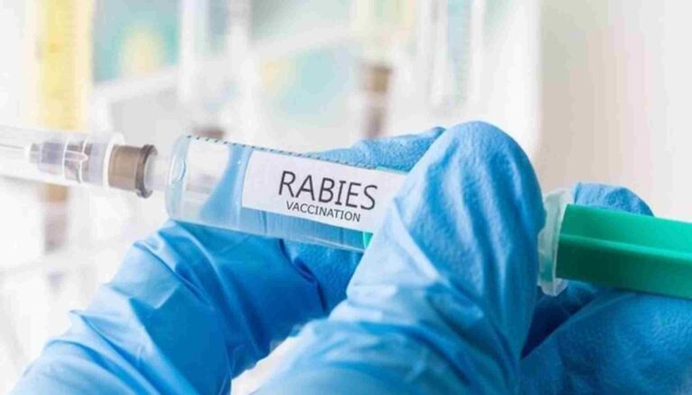 പേ വിഷബാധയ്‌ക്കെതിരായ അവബോധം ശക്തമാക്കും: ആരോ​ഗ്യവകുപ്പ്