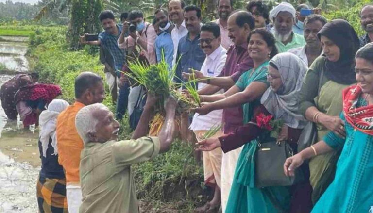 പള്ളിപ്പുറം പാടശേഖരത്തിലെ നെല്ല് സപ്ലൈകോ ഏറ്റെടുക്കും